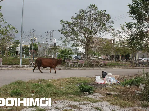 Nhếch nhác những khu đô thị điểm nhấn ở Bắc Giang sau phân lô bán nền