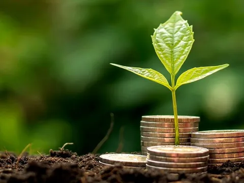 Tín dụng xanh chiếm 4,5% tổng dư nợ nền kinh tế, doanh nghiệp và nhà băng vẫn khó gặp nhau