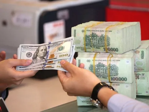 Tỷ giá USD ngày 30/1: Ngân hàng và thị trường cùng giảm mạnh