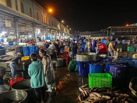 TP. HCM: Nhộn nhịp chuẩn bị cá lóc phục vụ ngày vía Thần Tài